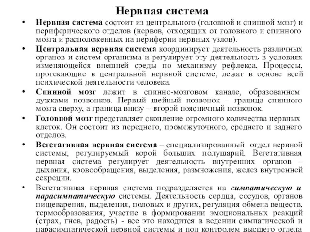 Нервная система Нервная система состоит из центрального (головной и спинной мозг) и