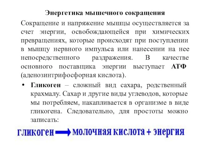 Энергетика мышечного сокращения Сокращение и напряжение мышцы осуществляется за счет энергии, освобождающейся