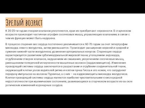 Зрелый возраст К 20-25-ти годам створки клапанов уплотняются, края их приобретают неровности.