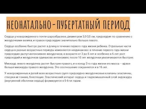 неонатально-пубертатный период Сердце у новорожденного почти шарообразное, диаметром 3,0-3,5 см, предсердия по