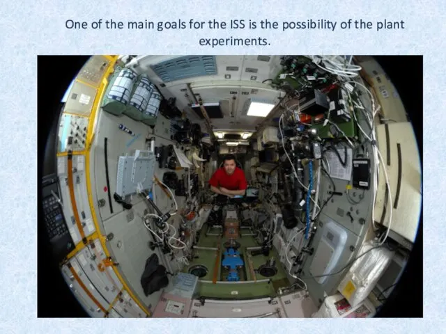 One of the main goals for the ISS is the possibility of the plant experiments.