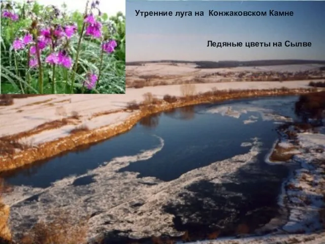 Ледяные цветы на Сылве Утренние луга на Конжаковском Камне