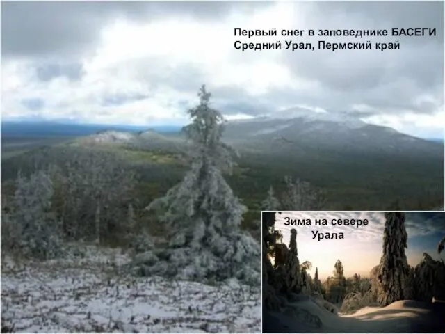 Первый снег в заповеднике БАСЕГИ Средний Урал, Пермский край Зима на севере Урала