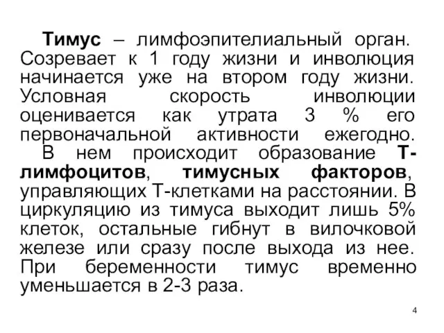 Тимус – лимфоэпителиальный орган. Созревает к 1 году жизни и инволюция начинается