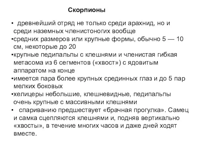 Скорпионы древнейший отряд не только среди арахнид, но и среди наземных членистоногих