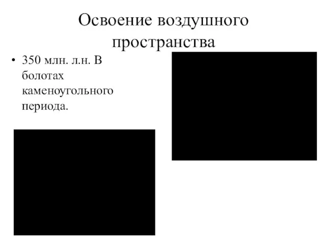 Освоение воздушного пространства 350 млн. л.н. В болотах каменоугольного периода.