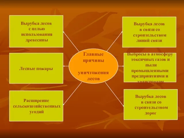 Главные причины уничтожения лесов Расширение сельскохозяйственных угодий Вырубка лесов в связи со