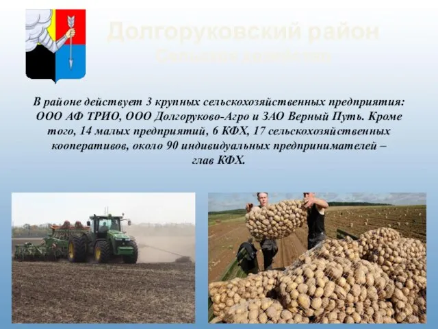 Долгоруковский район Сельское хозяйство В районе действует 3 крупных сельскохозяйственных предприятия: ООО