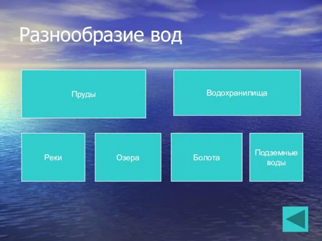 Разнообразие вод Пруды Водохранилища Реки Озера Болота Подземные воды