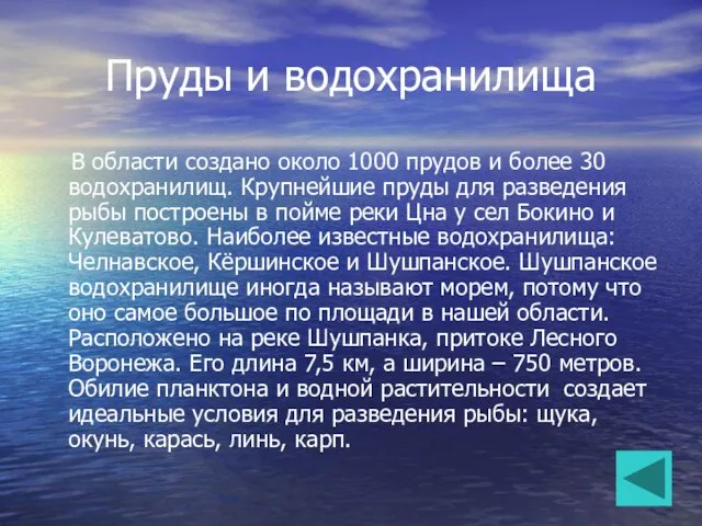 Пруды и водохранилища В области создано около 1000 прудов и более 30