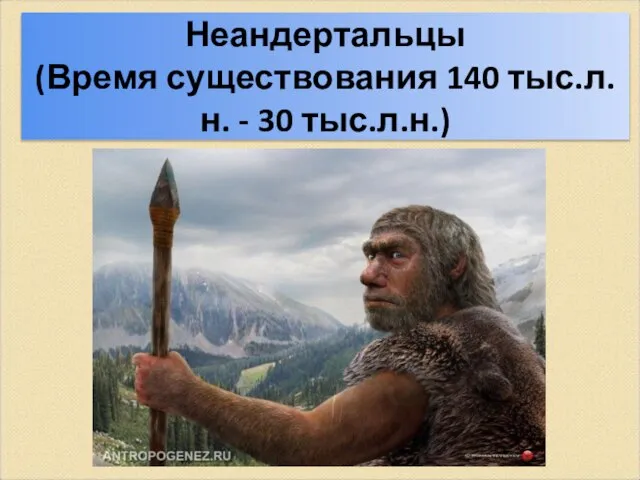 Неандертальцы (Время существования 140 тыс.л.н. - 30 тыс.л.н.)