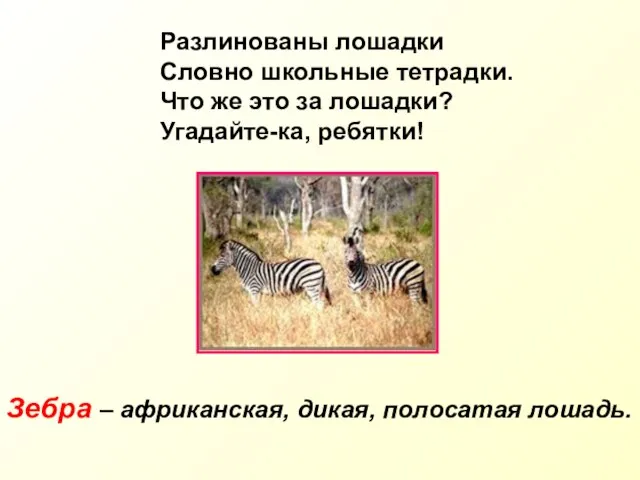 Разлинованы лошадки Словно школьные тетрадки. Что же это за лошадки? Угадайте-ка, ребятки!