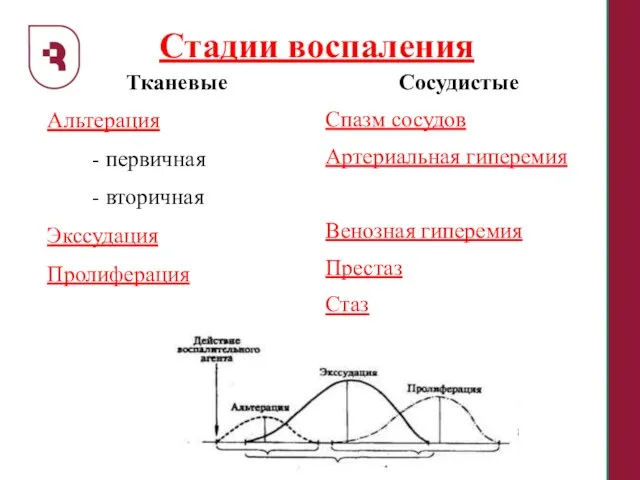 Стадии воспаления Тканевые Альтерация - первичная - вторичная Экссудация Пролиферация Сосудистые Спазм