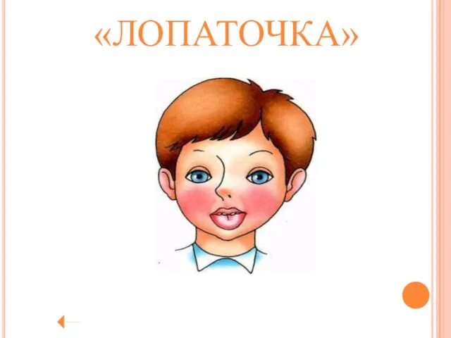 «ЛОПАТОЧКА»