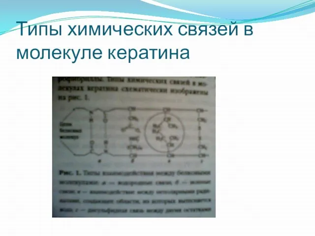 Типы химических связей в молекуле кератина