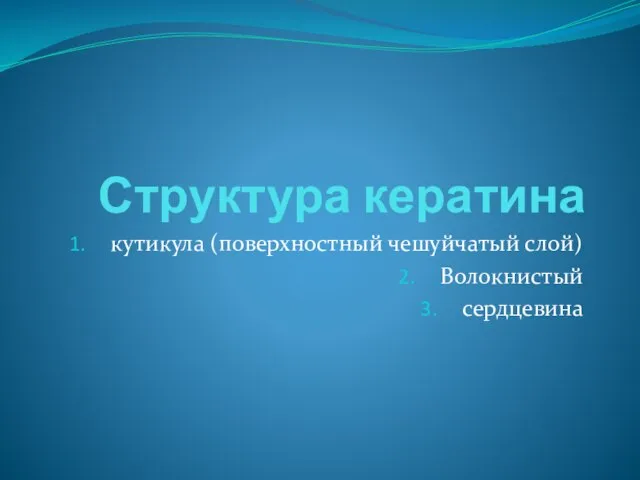 Структура кератина кутикула (поверхностный чешуйчатый слой) Волокнистый сердцевина