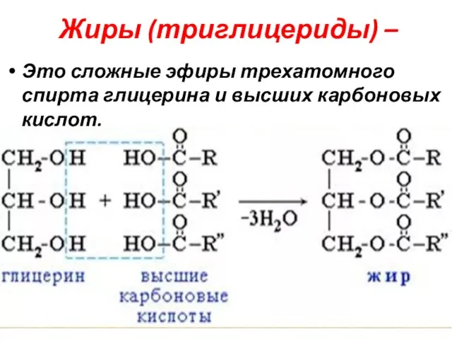 Жиры (триглицериды) – Это сложные эфиры трехатомного спирта глицерина и высших карбоновых кислот.