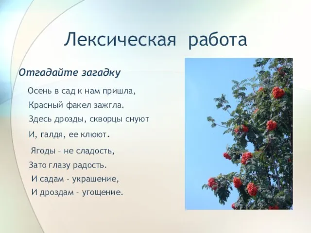 Лексическая работа Отгадайте загадку Осень в сад к нам пришла, Красный факел