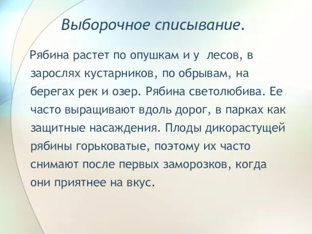 Выборочное списывание. Рябина растет по опушкам и у лесов, в зарослях кустарников,