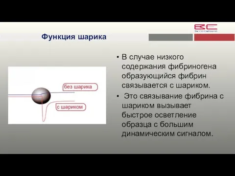 Функция шарика В случае низкого содержания фибриногена образующийся фибрин связывается с шариком.