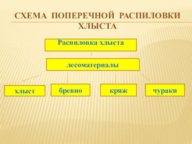 СХЕМА ПОПЕРЕЧНОЙ РАСПИЛОВКИ ХЛЫСТА Распиловка хлыста лесоматериалы хлыст бревно кряж чураки