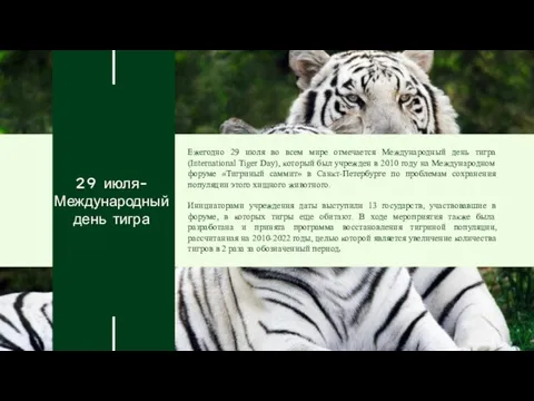 29 июля- Международный день тигра Ежегодно 29 июля во всем мире отмечается