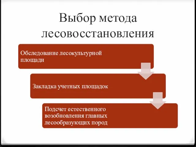 Выбор метода лесовосстановления