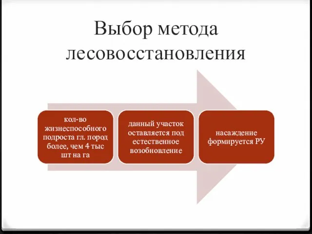 Выбор метода лесовосстановления