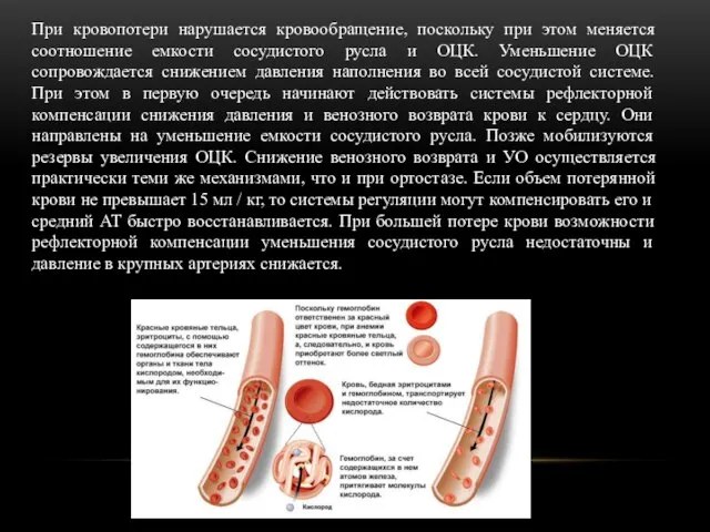 При кровопотери нарушается кровообращение, поскольку при этом меняется соотношение емкости сосудистого русла