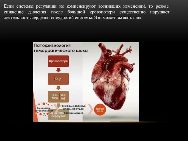 Если системы регуляции не компенсируют возникших изменений, то резкое снижение давления после