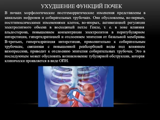 УХУДШЕНИЕ ФУНКЦИЙ ПОЧЕК В почках морфологические постгеморрагические изменения представлены в канальцах нефронов