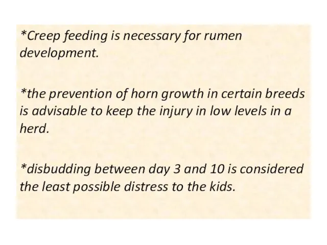 *Creep feeding is necessary for rumen development. *the prevention of horn growth