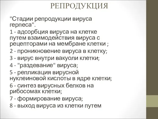 РЕПРОДУКЦИЯ "Стадии репродукции вируса герпеса". 1 - адсорбция вируса на клетке путем