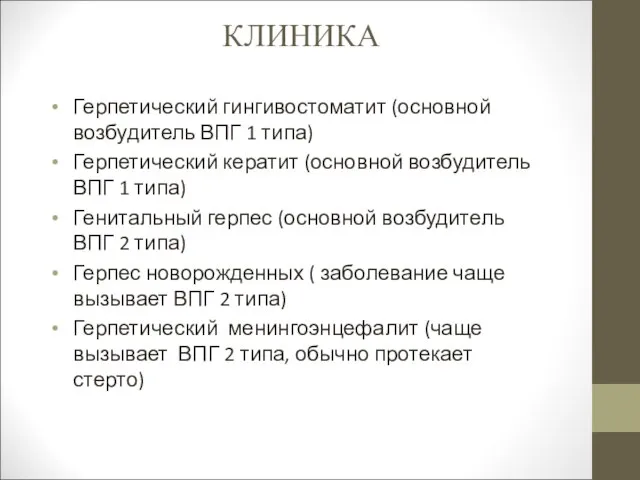 КЛИНИКА Герпетический гингивостоматит (основной возбудитель ВПГ 1 типа) Герпетический кератит (основной возбудитель