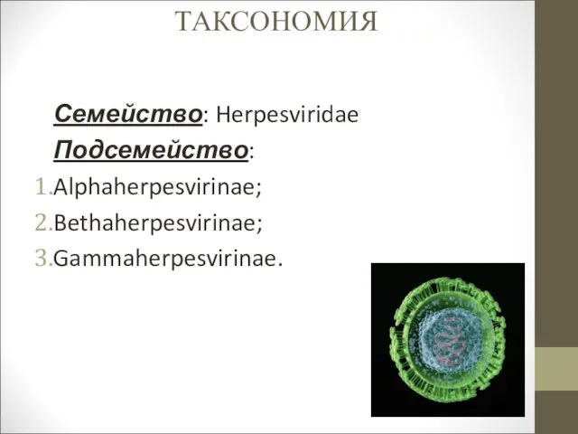 ТАКСОНОМИЯ Семейство: Herpesviridae Подсемейство: Alphaherpesvirinae; Bethaherpesvirinae; Gammaherpesvirinae.