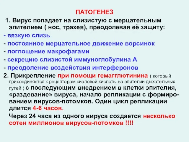 ПАТОГЕНЕЗ 1. Вирус попадает на слизистую с мерцательным эпителием ( нос, трахея),