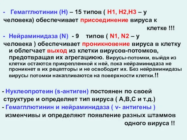 Гемагглютинин (Н) – 15 типов ( Н1, Н2,Н3 – у человека) обеспечивает