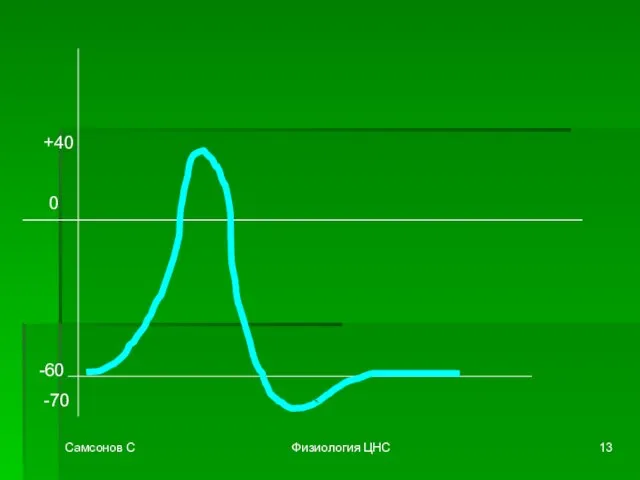 Самсонов С Физиология ЦНС 0 -60 -70 +40