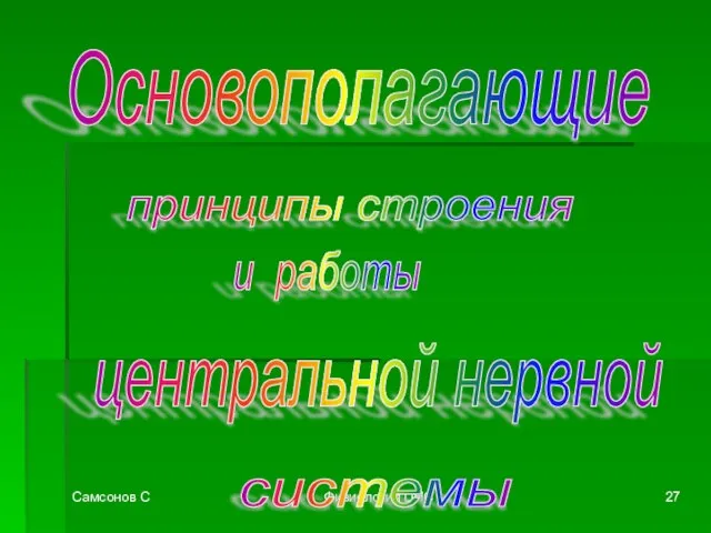 Самсонов С Физиология ЦНС Основополагающие принципы строения и работы центральной нервной системы