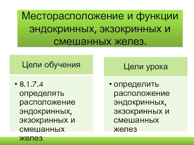 Месторасположение и функции эндокринных, экзокринных и смешанных желез.