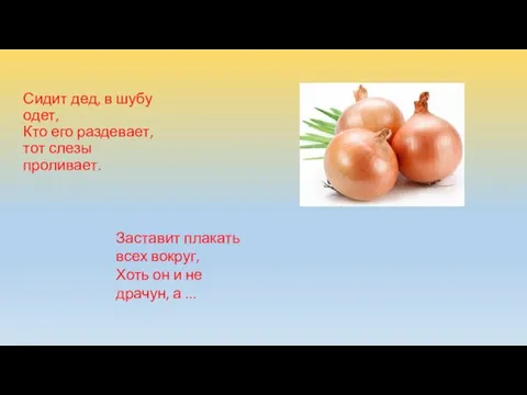 Сидит дед, в шубу одет, Кто его раздевает, тот слезы проливает. Заставит