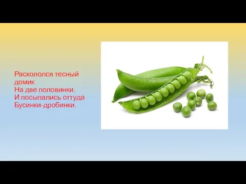 Раскололся тесный домик На две половинки. И посыпались оттуда Бусинки-дробинки.