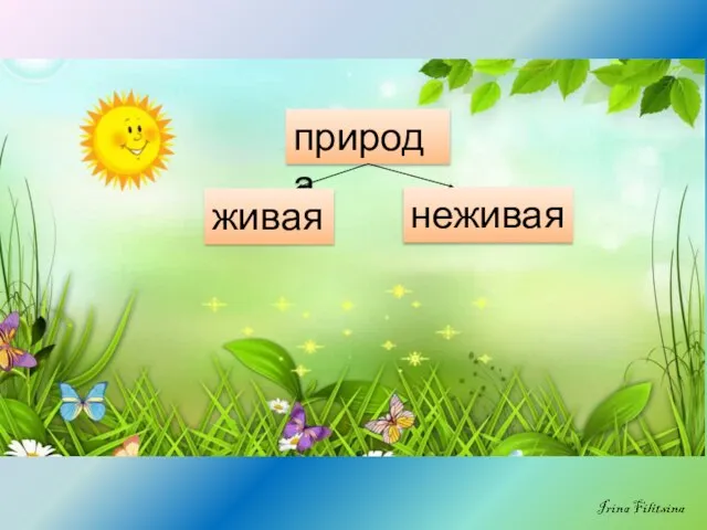 природа живая неживая