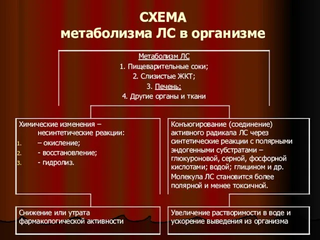 СХЕМА метаболизма ЛС в организме