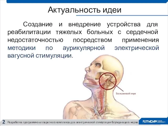 Актуальность идеи 2 Разработка программно-аппаратного комплекса для электрической стимуляции блуждающего нерва. Создание