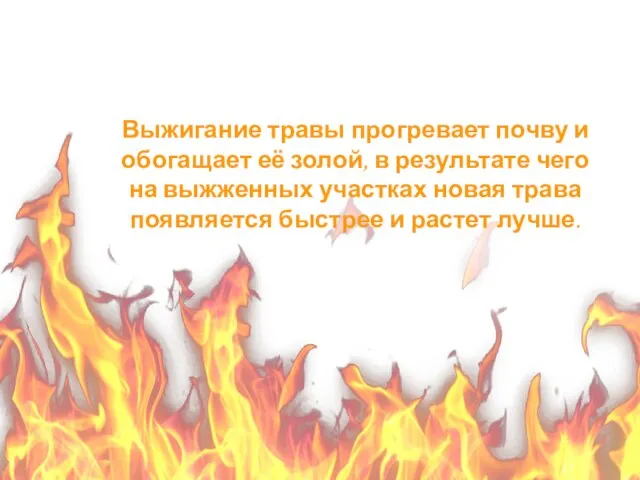 1 Выжигание травы прогревает почву и обогащает её золой, в результате чего