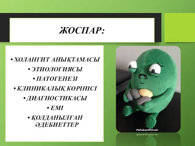 ЖОСПАР: ХОЛАНГИТ АНЫҚТАМАСЫ ЭТИОЛОГИЯСЫ ПАТОГЕНЕЗІ КЛИНИКАЛЫҚ КӨРІНІСІ ДИАГНОСТИКАСЫ ЕМІ ҚОЛДАНЫЛҒАН ӘДЕБИЕТТЕР