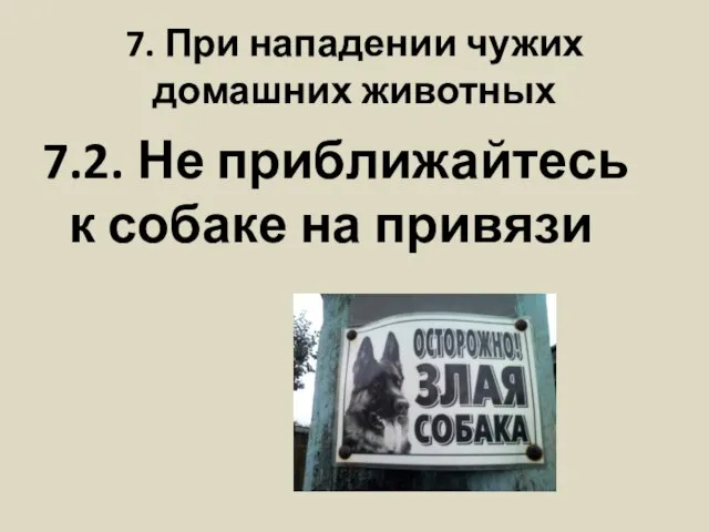 7. При нападении чужих домашних животных 7.2. Не приближайтесь к собаке на привязи