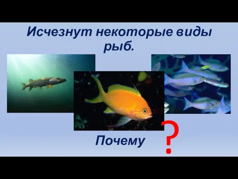 Исчезнут некоторые виды рыб. Почему ?