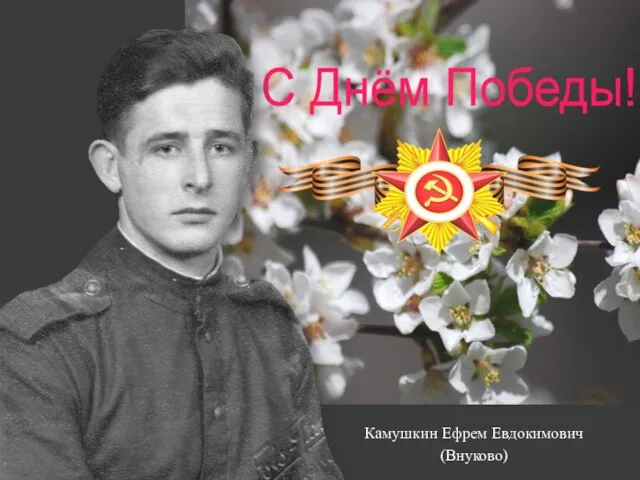 Камушкин Ефрем Евдокимович (Внуково)